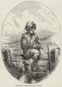 The Crow-Boy